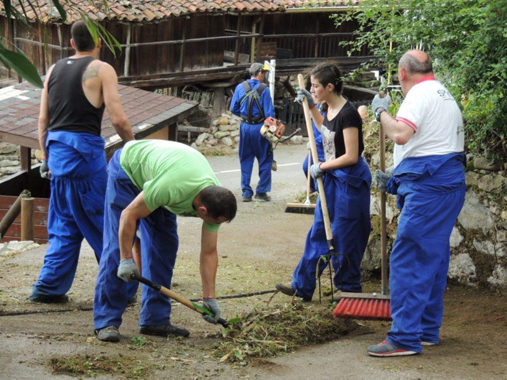 Campo Trabajo Adsis Asturias