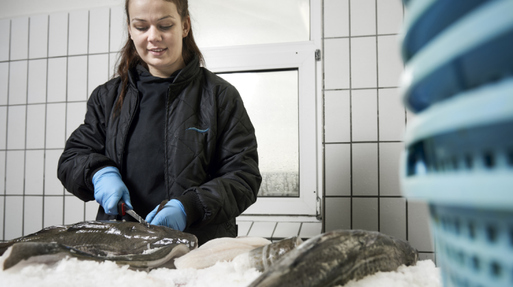 Una chica limpiando pescado