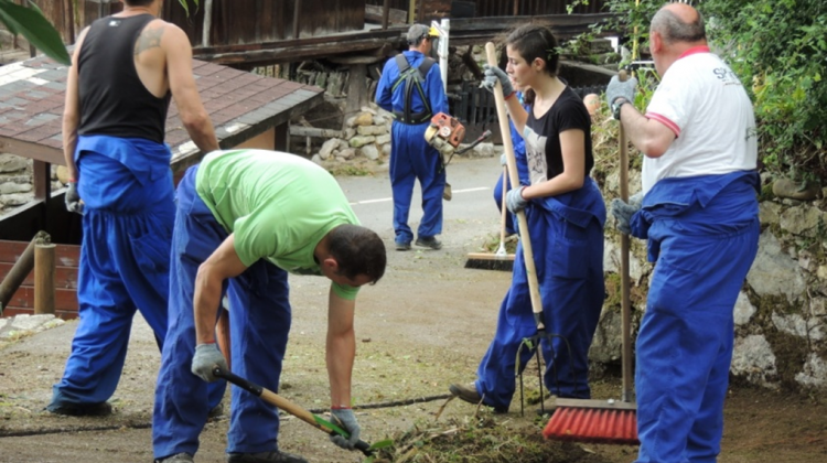 Campo Trabajo Adsis Asturias