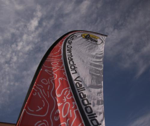 Carrera Solidaria Valladolid 2019. Fundación Adsis.